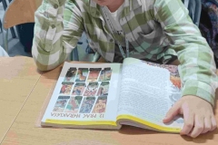 IMG_20231026_0945421